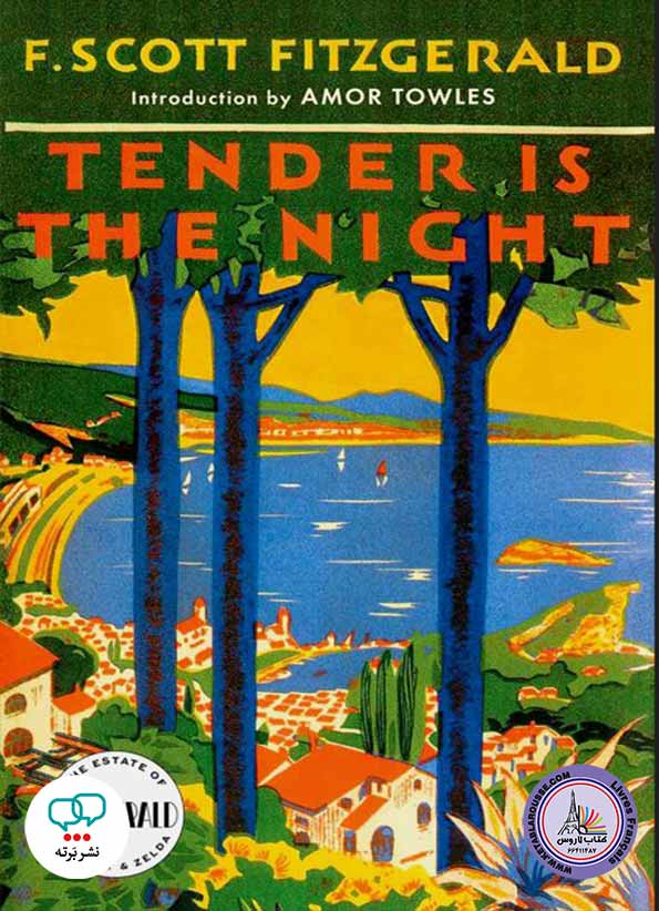 رمان انگلیسی Tender is the Night